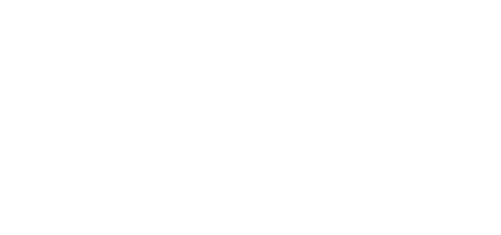 Logo DSM